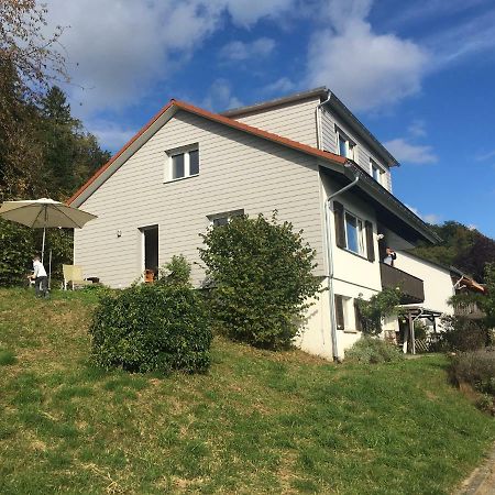 Alpenpanorama Am Hochrhein Villa Gailingen Exterior photo