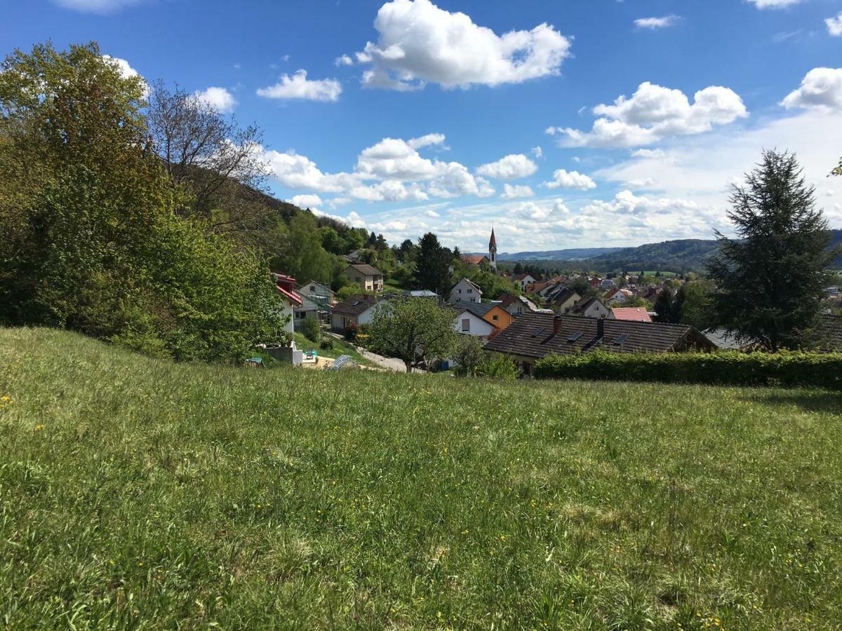 Alpenpanorama Am Hochrhein Villa Gailingen Exterior photo